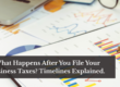 What Happens After You File Your Business Taxes?