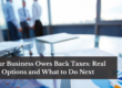 Your Business Owes Back Taxes: Options and What to Do Next