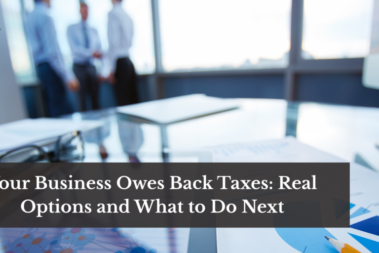Your Business Owes Back Taxes: Options and What to Do Next