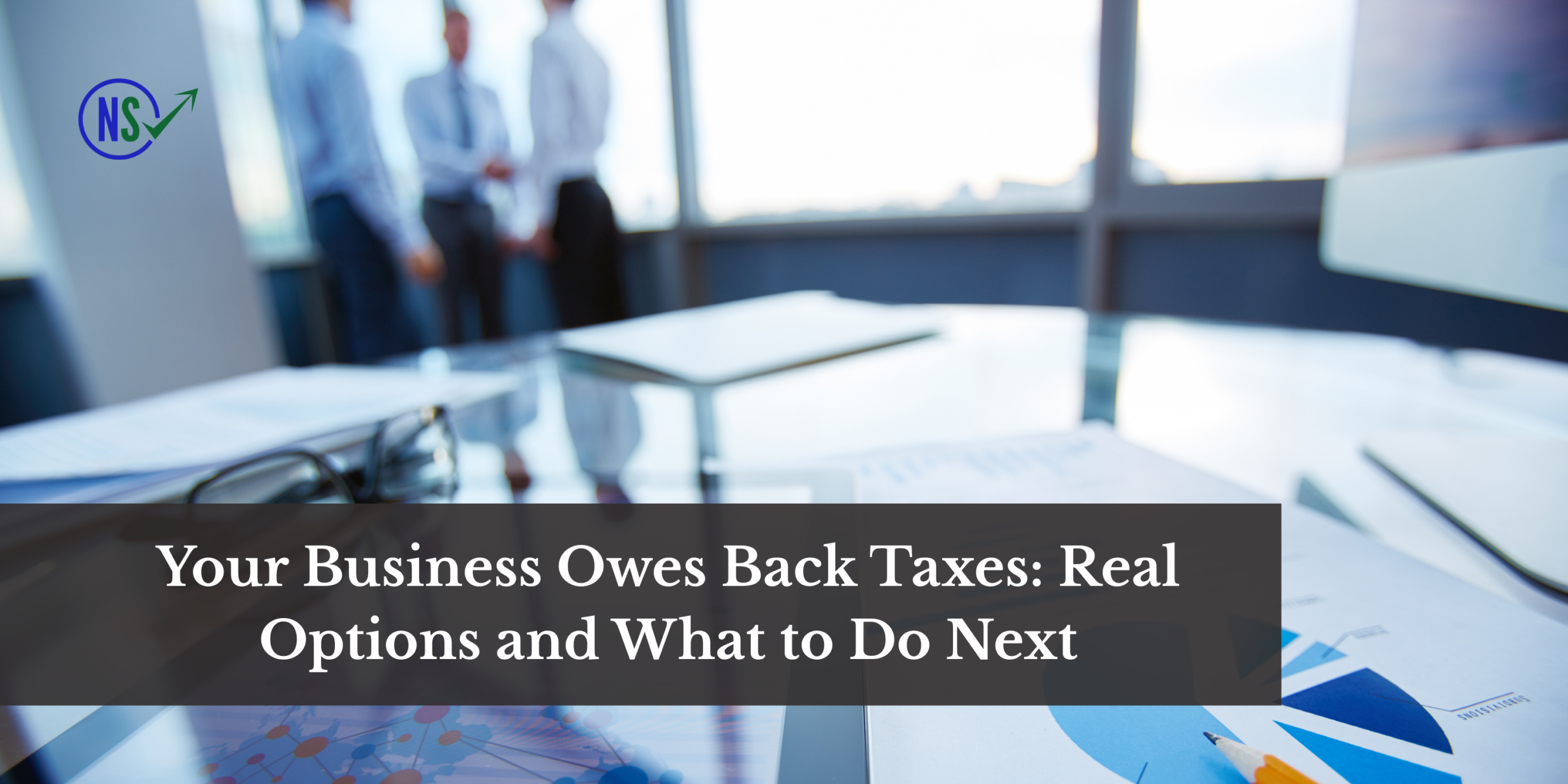 Your Business Owes Back Taxes: Options and What to Do Next